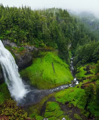 Cachoeira na mata, de Andrew Coelho